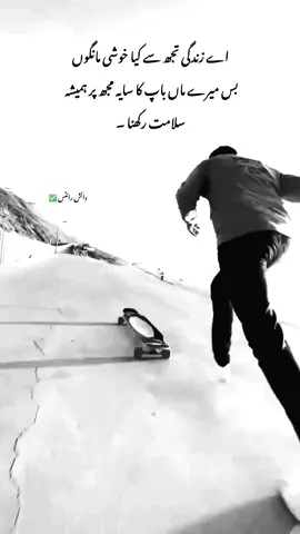 امین۔ part 13 |✅#(⁠◕⁠ᴗ⁠◕⁠✿#trending #lines #attitude #boy #true__word✌️💯 #urdupoetry #unfrezzmyaccount #medanish 