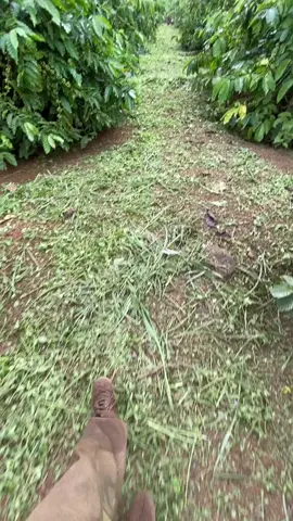 ❤️ làm nông nhưng muốn chill 😂