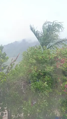 angin + hujan..sejukkk🥶🥶🥶 #kundasangranausabah⛰️ 