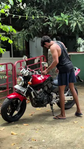 #foryou #trending #fyppppppppppppppppppppppp #1m #foryoupage #hornet #250cc😉 #curlyhair #status #viral #1m තාලෙට රගානා ලදේ 🌝