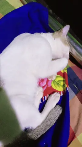 #fanivideo😂😂😂🤣🤣4u #varil ##foryou #foryourpage #unfrezzmyaccount #tiktok?bangladesh🇧🇩🇧🇩🇧🇩 @jannat @জাতির ছোট মেয়ে 🥀🥀 @👑Cute-Queen👑 @জাতির আফা😇😇🤞 @⚡❄️🔐 তোমাগো ভাইয়া 🔐❄️⚡ @marian ahmed 197 