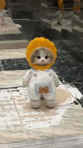 I encountered a mooncake kitten in the elevator #cat #pet #cutepet #vial #foryou 