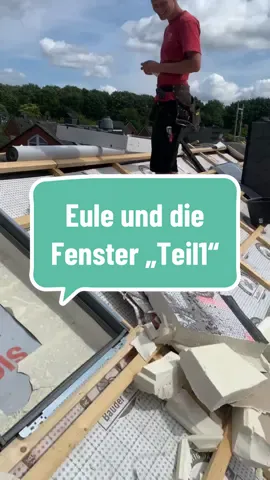 Eule und die Fenster „Teil1“ #dachdecker #junggeselle #lebenamlimit #fpy #lieblingskollegin #arbeitenmachtspass 