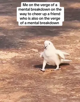 It be like that sometimes 🤷🏼‍♀️ #friendship #friendshipgoals #MentalHealth #fyp 