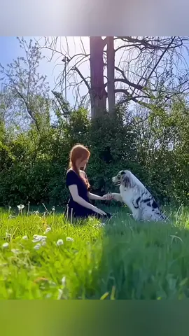 Animals are man's friends ❤️ #pet #cat #dog #cute #animals #foryou #typ