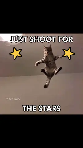 🗣️ IVE GOT THE MOOOOOVES LIKE JAGGER 🔥 #moveslikejagger #maroon5 #cattok #catedit #catlover #catcore #catsoftiktok #fyp #thecatlaroi 