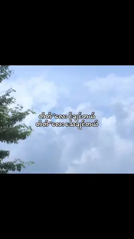 တိတ်”လေးပါပဲ😌#fypシ゚viral #fypシ゚viral #thankb4youdo #crdစာသား #feelings 