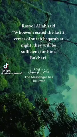 #last2 verses are sufficient for you #surahbaqarah #quran #قران 
