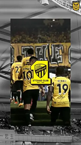 تنص المادة 