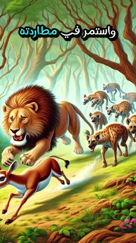 رافق النمر صديقه الاسد #قصة #عبرة #اقتباسات #foryou #fyp #explore 