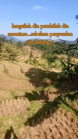 patuhi dan hargailah suamimu...