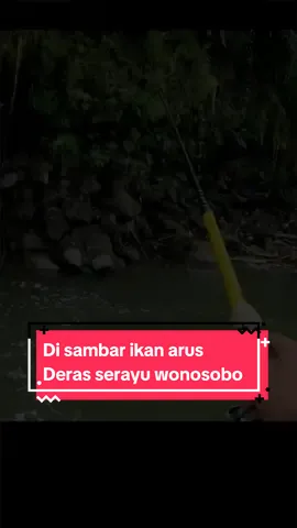 Umpan jitu langsung strike #mancingliar #mancingmania #umpanmancing #rasborawangi 