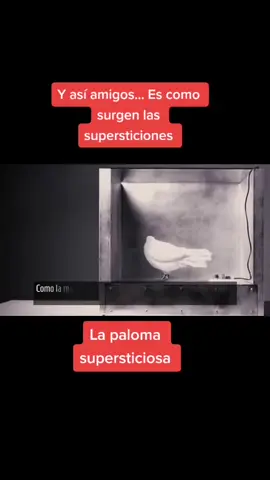 #Recuerdos #psicologia #condicionamieto #supersticion #filosofia 