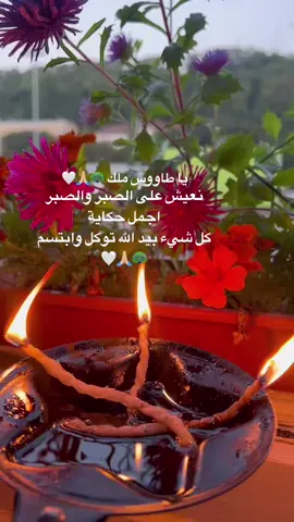 #ezidi #ezdixan #lalishanurani #🦚🤲🏻🤍 
