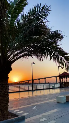 جمال كورنيش البصرة فجرا😍 #CapCut #الشعب_الصيني_ماله_حل😂😂 #تصوير #كورنيش_شط_العرب 