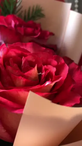 هناك أناس رائعون يمنحوننا الحب والسعادة دون مقابل يارب احفظهم وأسعدهم سعادة لا حد لها وارزقهم من حيث لا يحتسبون#الحب_الحقيقي #دعاء #foryoupage #tiktoklongs 