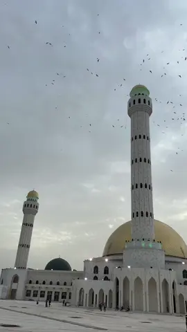 Yalnaniou yalla fayal seydil Hadji Malick fier d’être talibé cheikh 😩❤️🙏 machallah souniou jummah dji rafetna torop #tivaouane #talibé_cheikh #gamou2024 #senegaltiktok #mosquéetivaouane #Vlog  #tarikhacheikh #seydiinaaa 