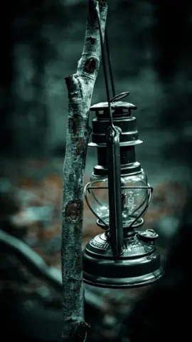 لقد سرقو مني كل شئ #تعلم_كيف_تعيش_محمد_قاسم  #فلسطين_في_القلب  #تصميمي  #CapCut #fyp  #trending #goviral  #foryou #foryourpage  #Mohamed_Abd_Elaziz_Kassem @Areej @GHada @Hania Sebaie @hf1234 @Lavie en rose 🇩🇿 @om omar @Sawssen Chouchen @❤ @🌟 Estrella fugaz 🌟 