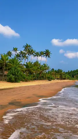 #سريلانكا🇱🇰  شاطيء مدينة فيليغاما لعشاق البحر المكان جميل وفيه عدة منتجعات فاخرة #ذكريات_مسافر_سريلانكا  @ذكريات مسافر🌎 ✈️ 