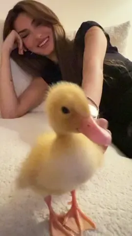 سلمتوا على بطبوطي اليوم🐥 