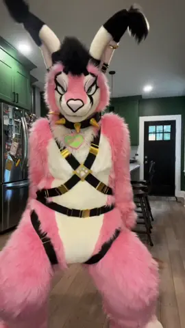 Sad dog knows his fate 🍽️  #fursuiter #fursuitdance #furry #femalefurry #furrygirl #felinefursuit #juicethecaracal #eatthecat #theyreeatingthecats 