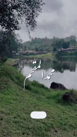 #انا نصيحيتي نصيحت محب #محمد المقحم#اكسبلور #الشعب_الصيني_ماله_حل😂😂 