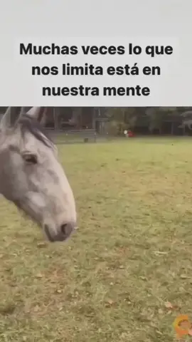 Esta es la verdad: no puedes hacerte rico simplemente dependiendo de tu salario. Si quieres aprender más, comenta con la palabra “PDF” 👇 para que conozcas detalles de esta forma de trabajo remoto