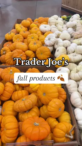 Favorite time of the year 🧡🍂🎃 @Trader Joe's #fall #fallfinds #traderjoes #traderjoeshaul #traderjoesfoodreviews #traderjoesmusthaves #pumpkinseason 