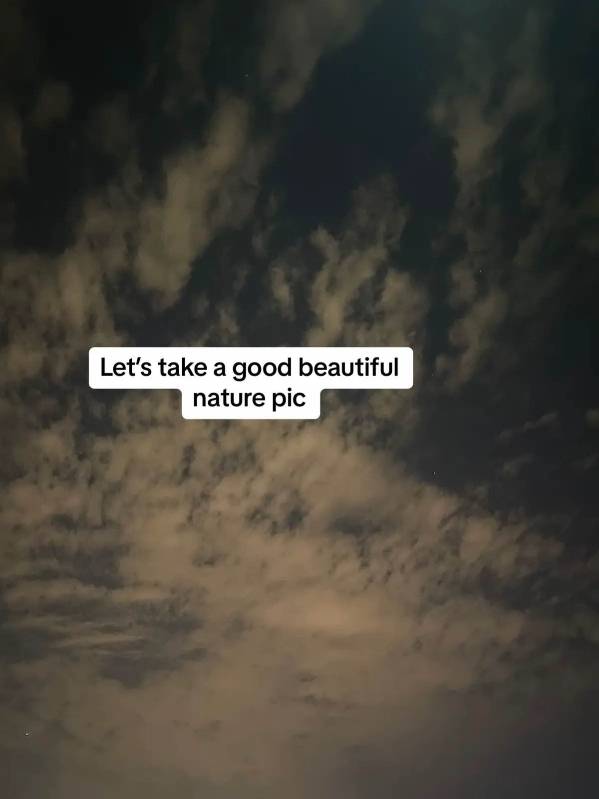 #photography #nature #dubai #foryoupageofficial 