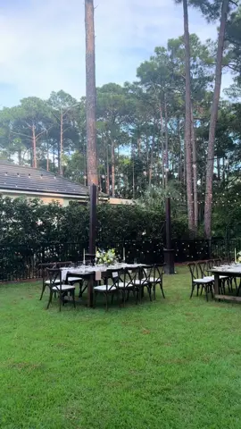 Only the best for the Senator 🤩🌼🤎🌱🕯️🌞🪴