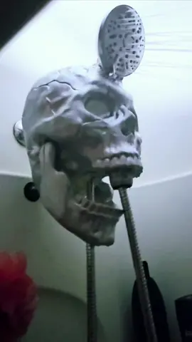 One can never have enough skulls 💀 If you can dream it, you can do it. 3am, power tools, and a mad G/F banging on the bathroom door 😁 #skull #skulls  #halloween  #Slayer #shower  #halloweenlook  #Halloween2024  #DIY #water #wet 