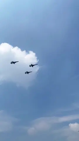 F-5 Tiger’s II 🐯🇲🇽 #f5 #f5tiger #f5etiger #fam #fuerzaaereamexicana #desfile #desfileaereo #plane #planespotting #airplane #airplanemode #jet @fuerzaaereamexicanaedits 