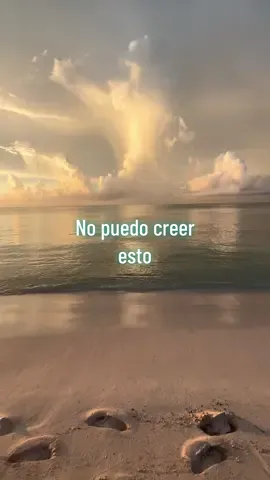 Hoy la Playa esta así #feliz #diversion #playa #caribemexicano #vacaciones #parati #fyp #viaje #rivieramaya #SabiasQue #datoscuriosos #tour #viajes #ugccreator #viajar #playas  #oceano #hotel 
