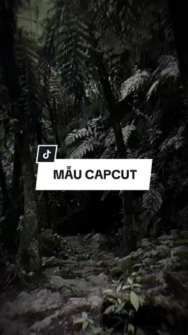 Dường như nắng đã làm má em thêm hồng | Xe Đạp Remix #CapCut #edit #mẫucapcut #xh #nhachaymoingay #lyrics #capcutmaster 