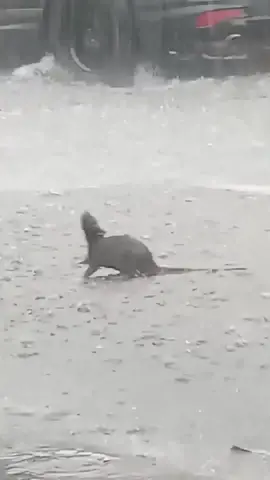 this one really cuts deep