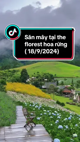 Sau cơn mưa ngắm nhìn mọi thứ xung quanh thật tuyệt vời và bình yên...mời mn ghé florest chill nhé#tiemanhbaprangbo #reviewcf #dalat #thefloresthoatrongrung #reviewcf 