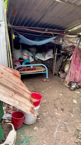 Chị Gái U50 Bầu 8 Tháng .!