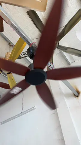 Lên tiếp mẫu quạt không đèn cho cả nhà mình đây ạ,nhanh tay lên đơn đặt hàng thôi ạ #tongkhoquatdendenchum #quattran #quatkhongden  