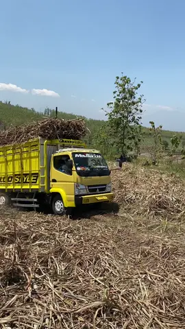 aduh dek dalane uambless😞 #fyp #fypシ゚ #truck #truktebu 