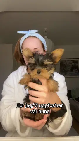 Alla får göra precis som dom vill, jag tycker det här funkar bäst för oss och vill dela det med mig av det här till andra som skaffar hund för första gången, man måste testa sig fram till vad som funkar bäst med sin hund och inget sett är fel förtuom då om hunden far illa eller på något sett blir illa behandlad! Man kan självklart vara sträng och hård men glöm då aldrig att berömma när dom gör något bra💓 