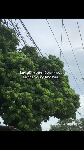 tui nhớ anh quá #fyp #tinhyeubuon #xuhuongtiktok 