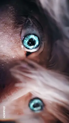 The highest detail @khary_ashmore#アニメ #anime #edit #jjk #gojosatoru