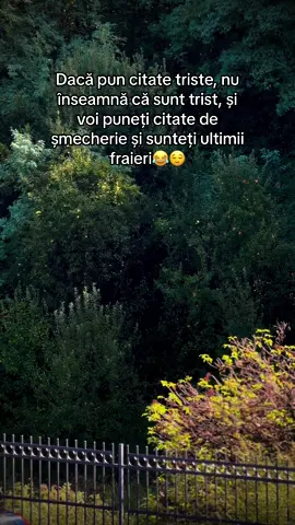 #misiuneatiktok #5pasidebine #foryoupage #foryou #fyp #viraltiktok #viral #ktm #popular 