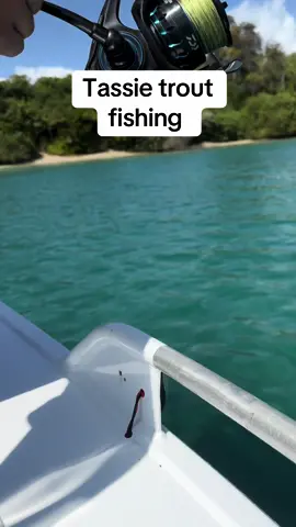 “That’s how you catch a trout” - Tassie trout lady 😂 #aussie #trout #fishing  