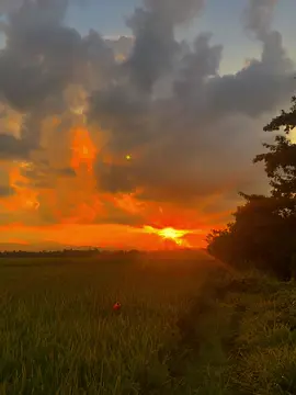 Ingin kembali kemasa itu #2019vibes #fyp #songvibes #onmyway 