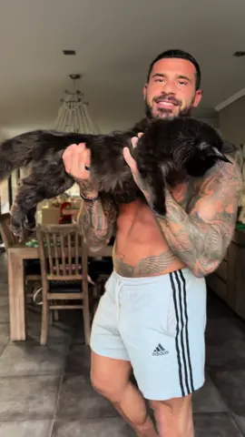 Say hello to my Bestie Mr Miyagi…can you guess his breed?? 🐈‍⬛ #cat #catsoftiktok #fyp 