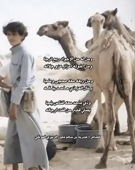 ومن ربعه معه محجى وملجا 🌷. #العوالق #الديولي #نصاب_العوالق #جنوب_اليمن #شبوه #بيحان #همدان #اكسبلورexplore #شبوة #قصيد 