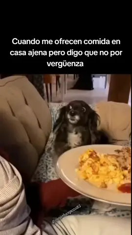 🫣🫣🫣 #parati #fyp #humor #Meme #meme #sisoy #sipasa #comerencasaajena #comida #verguenza #hambre #vergonzoso 