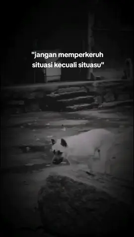 jangan memperkeruh situasi #storykatakata #fyp 
