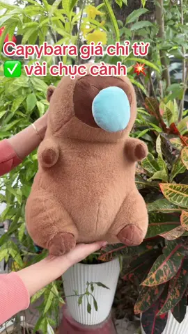 Gấu Bông Chuột Capybara Hafuto chảy nước mũi đáng yêu, quà tặng đồ chơi cho bạn gái và các baby’s  #xuhuong #capybara #chuotlangnuoc #capybarasomui #gaubong #sanphamhotrend09 